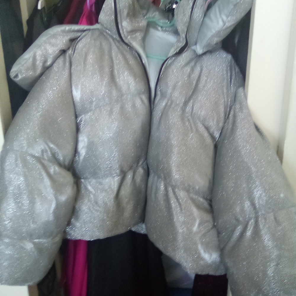 Shimmering Silver Kids Puffer Jacket